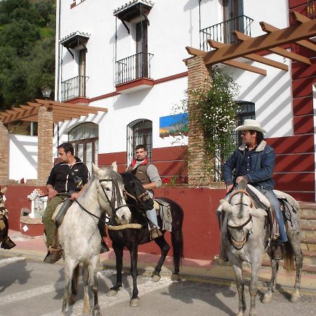 Apartamentos Rurales Mirador De Jubrique ภายนอก รูปภาพ
