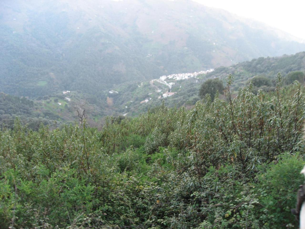 Apartamentos Rurales Mirador De Jubrique ภายนอก รูปภาพ